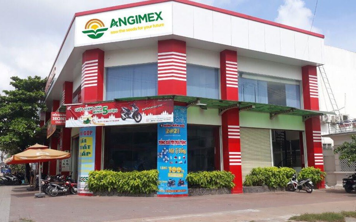 Angimex áp lực tứ bề: Không đủ khả năng thanh toán lãi trái phiếu đến ...