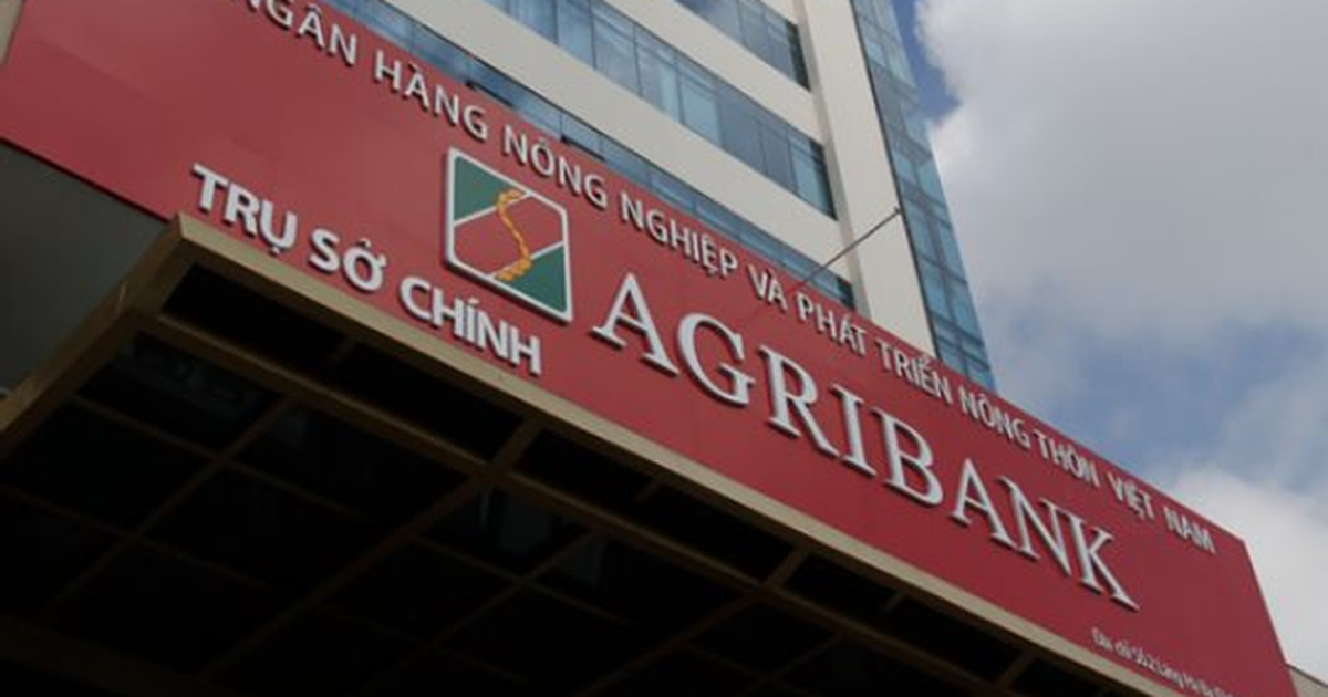 Một công ty xây dựng bị ngân hàng đem bán đấu giá lô đất 10.500m2 với ...