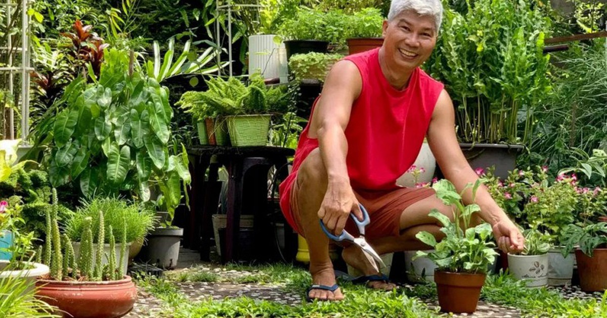 Từ "anh trưởng phòng" đến ngày "không còn ai hỏi việc": Khoảng trống tuổi hưu khó lấp đầy