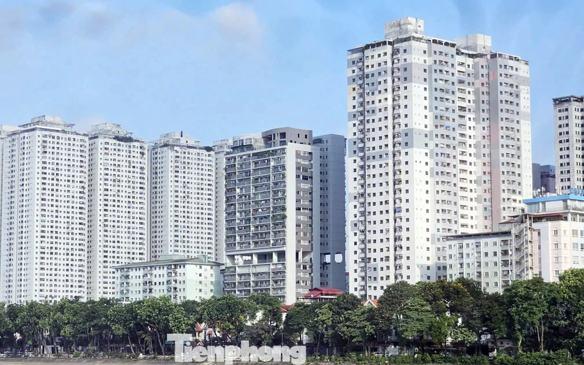 Xử lý 18 000 căn hộ sai quy hoạch tại 12 dự án ông Lê Thanh Thản: "Không phải hợp thức vi phạm"