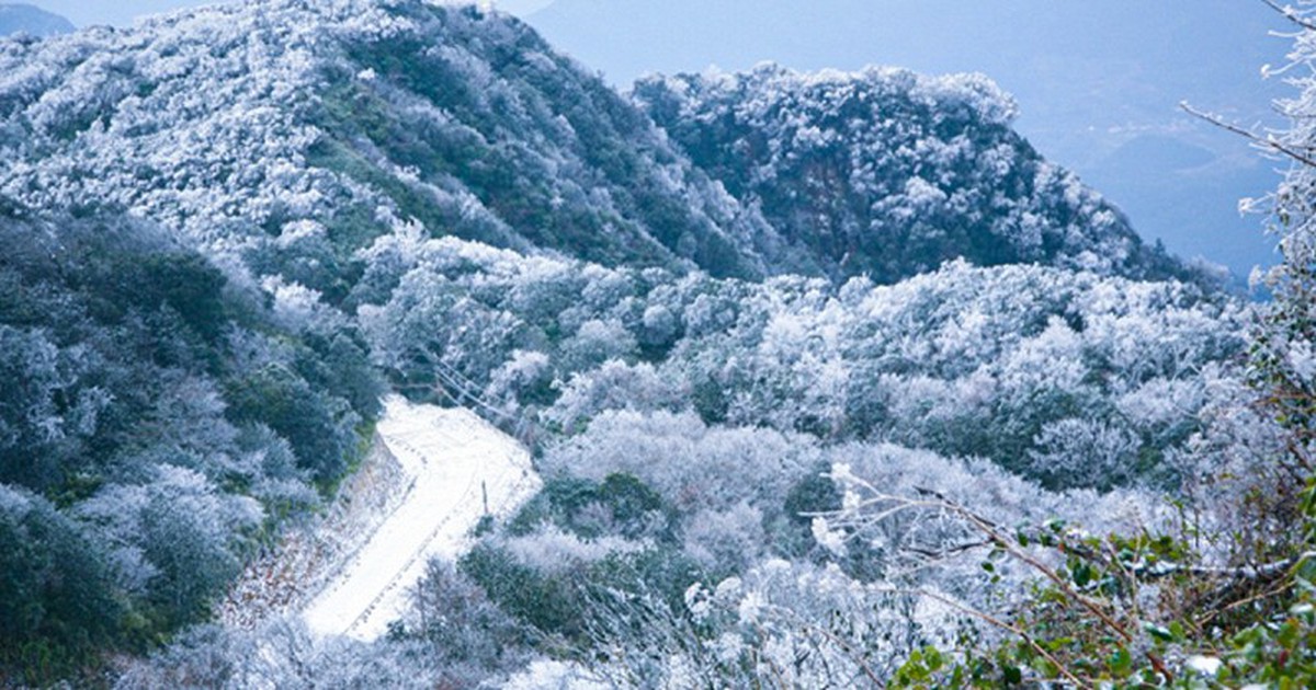 Phát hiện đỉnh núi cao 1.931 m ở Việt Nam, từng lạnh -9°C, mùa đông phủ băng trắng đẹp như châu Âu