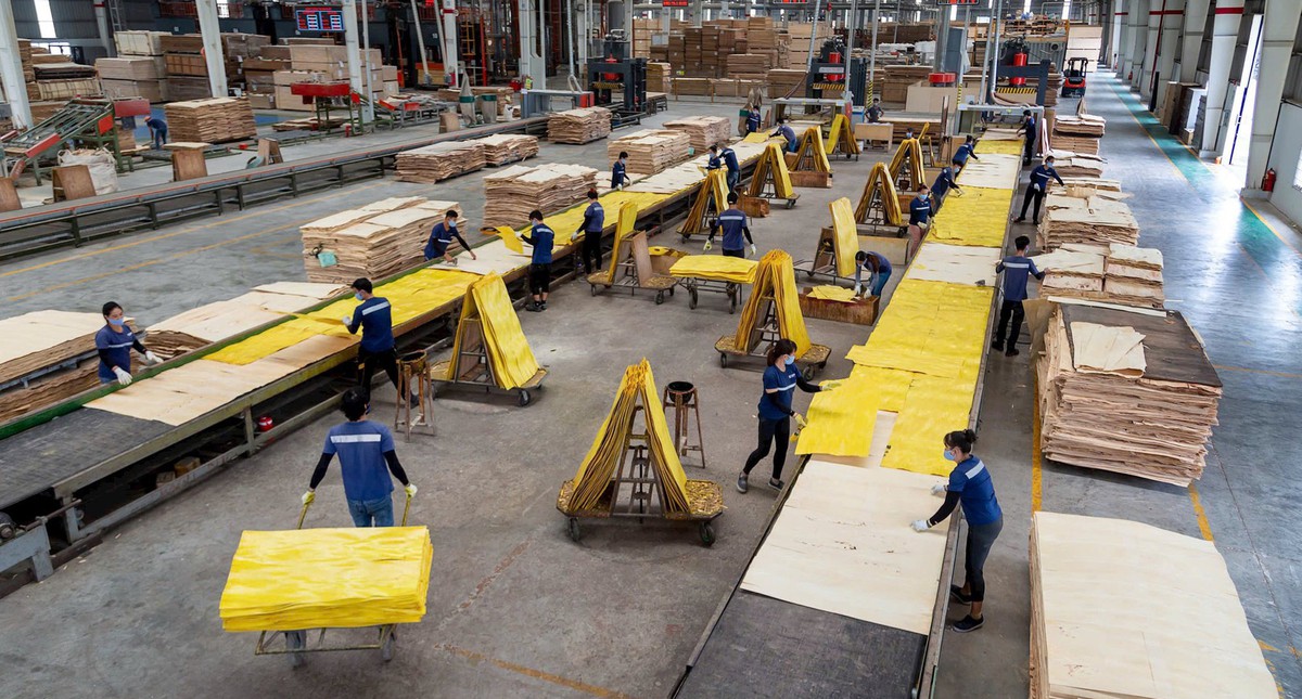 Doanh nghiệp bị "om" tiền cả chục tỷ đồng vì rắc rối thuế quan