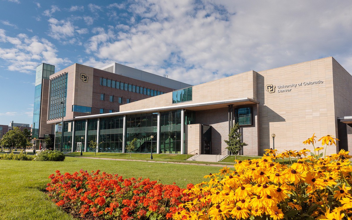 CU Denver MBA tại Việt Nam: Kết hợp chuẩn mực học thuật Mỹ và tư duy quản trị thực chiến