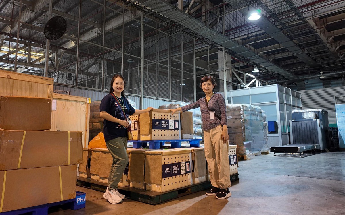 Những ca khó ở “kỳ quan hoang dã” hơn 500 ha Vinpearl Safari Phú Quốc