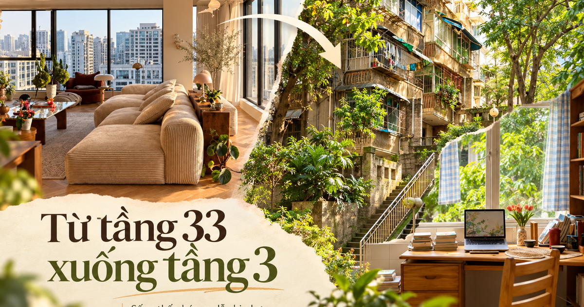 Từ tầng 33 có thang máy chuyển xuống tầng 3 không thang máy, tôi mới hiểu mình đã chọn nhà sai ở điểm nào