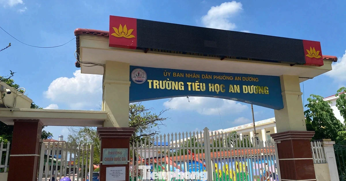 Hé lộ nguyên nhân bé trai lớp 1 ở Hải Phòng tử vong sau giờ tan học