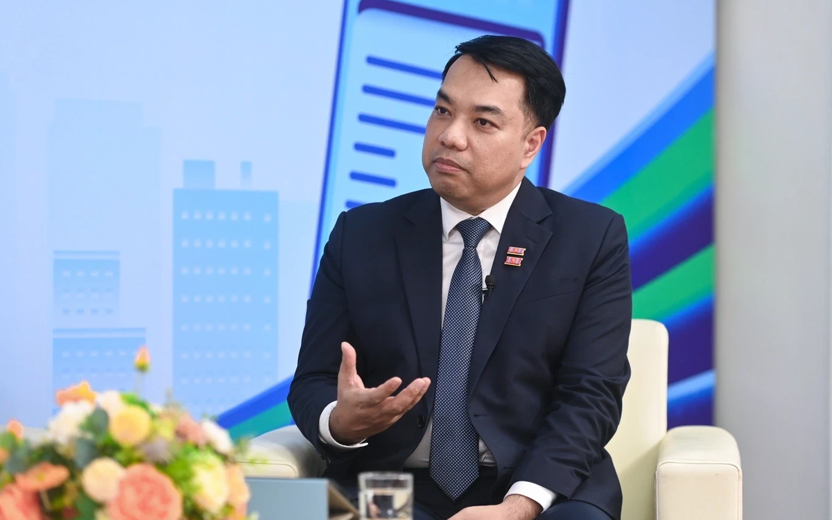 TS Mạc Quốc Anh: Doanh nghiệp không bao giờ muố...