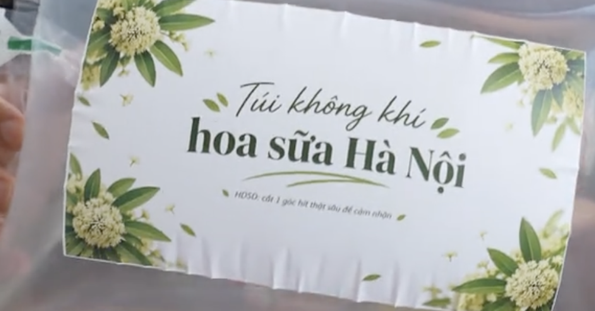 Trong lúc Hà Nội cắt tỉa hoa sữa cho bớt "thu nồng", xuất hiện túi đựng mùi hoa sữa giá 300.000 đồng
