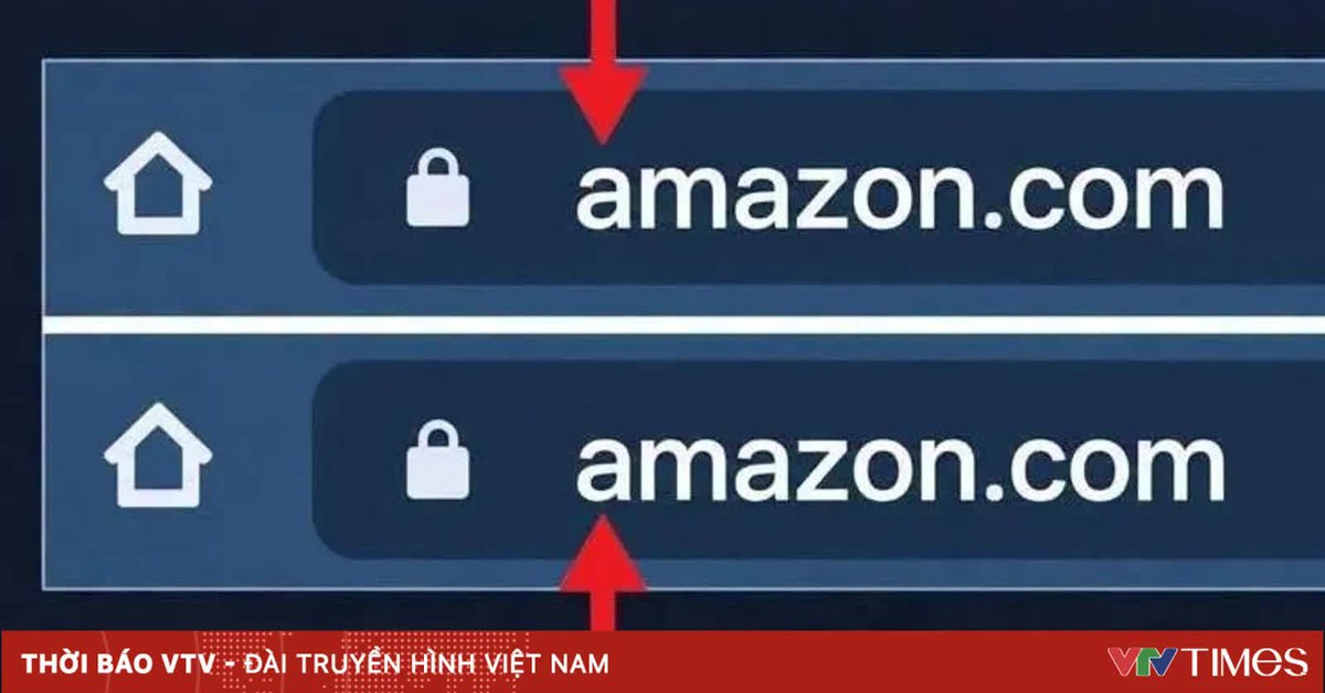 Cảnh báo thủ đoạn giả mạo tên miền website