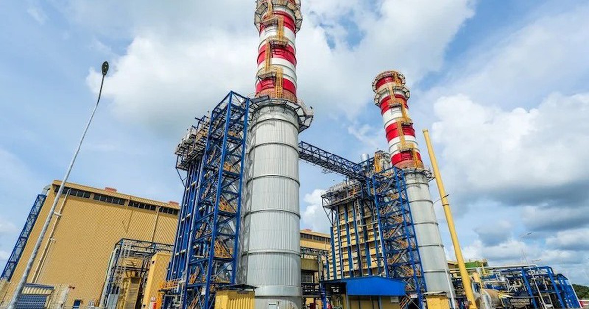 Phát hiện công ty điện lãi tăng 100% trong quý 3, có hơn 5.300 tỷ tiền gửi, cổ phiếu tăng hơn 20% chỉ sau một tháng