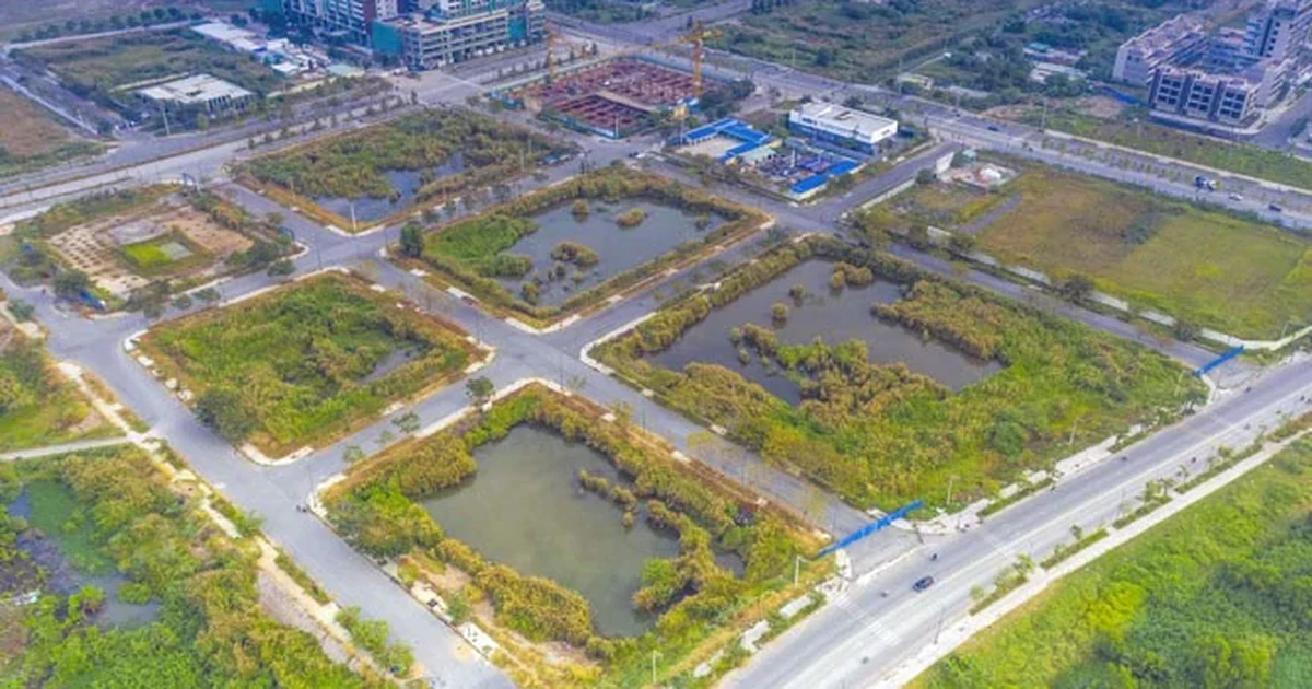 Chi tiết về 3 lô "đất vàng" Thủ Thiêm sắp đưa ra đấu giá