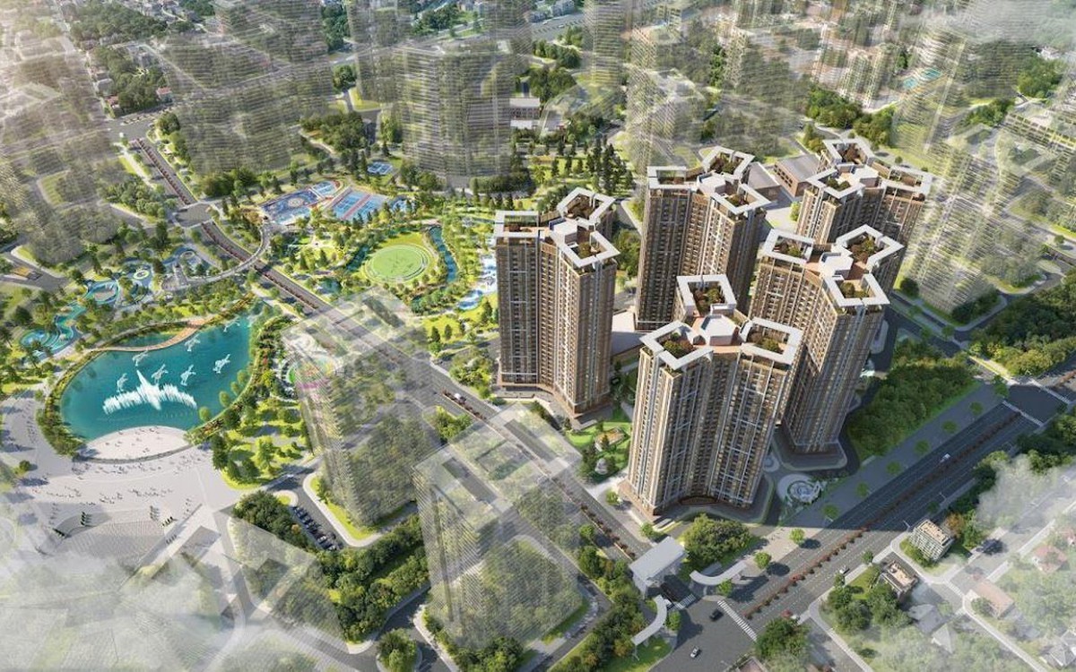 Quản trị - nền tảng cho hành trình Go Global của ROX Group