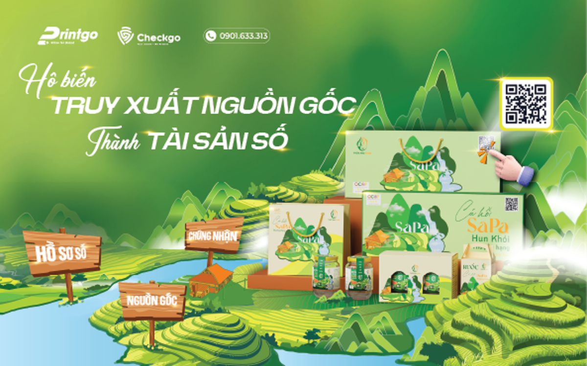 Hồ sơ số sản phẩm Checkgo: Biến truy xuất nguồn gốc thành tài sản số