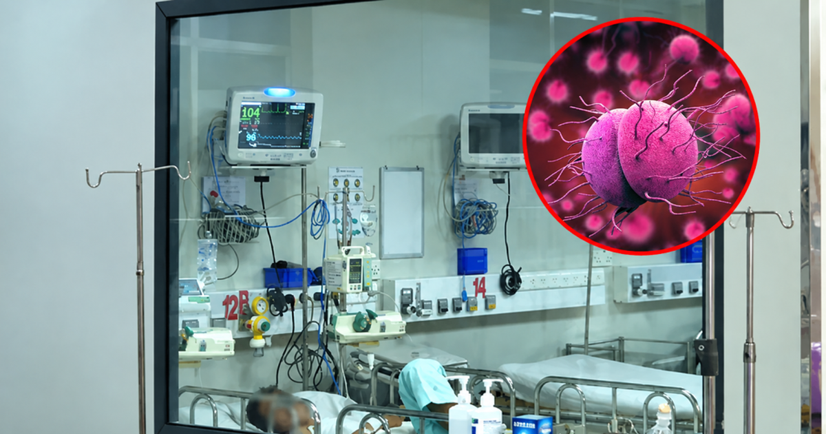 Ghi nhận 7 ca tử vong do não mô cầu trong hơn 10 tháng: Một nhóm tuổi có tỷ lệ mang vi khuẩn lên đến 24%