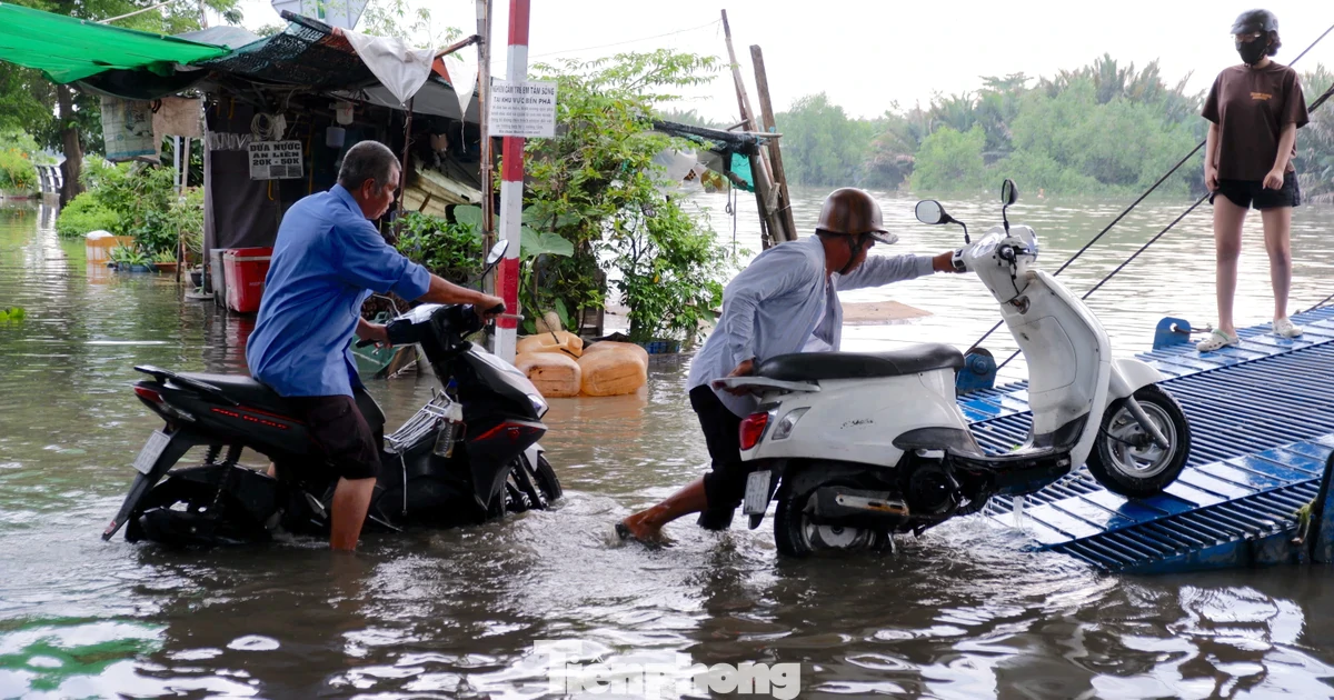 TPHCM sắp đón triều cường vượt báo động 3, nhiều nơi có thể ngập sâu