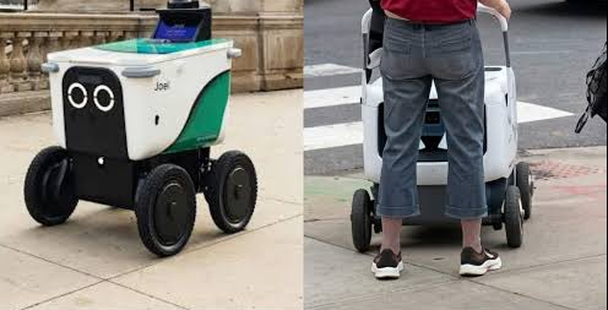 Cựu giáo sư người Mỹ 78 tuổi bị bắt vì đứng chắn robot giao đồ ăn suốt nhiều tháng