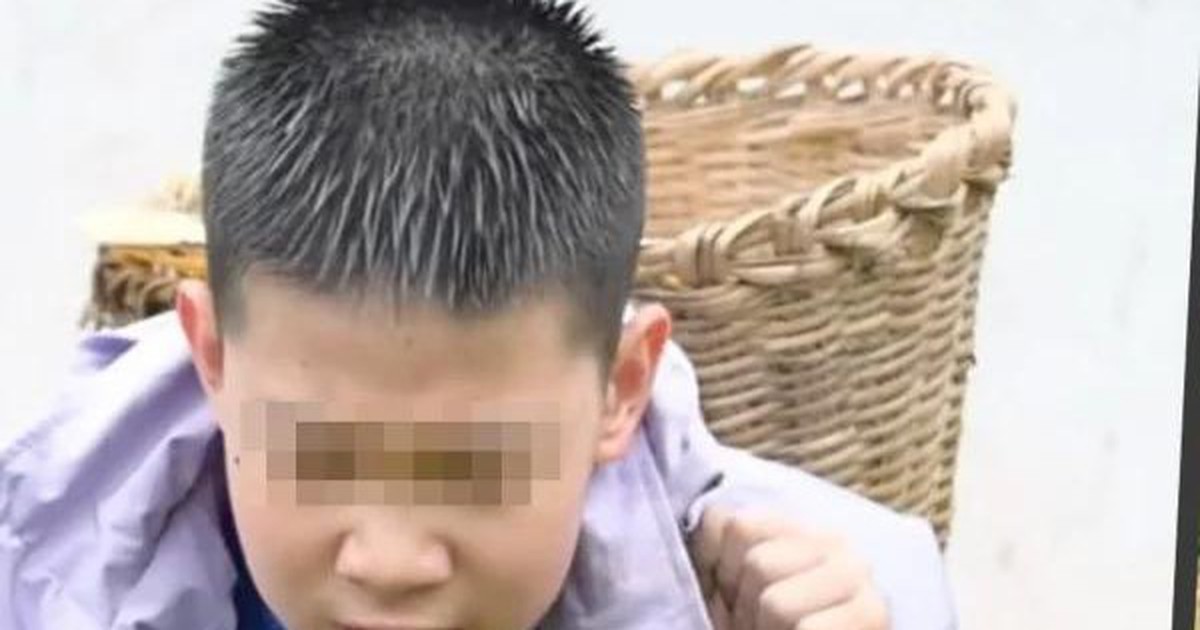 Không điện thoại, máy tính bảng: Cha mẹ Trung Quốc chi hàng nghìn tệ cho con ‘về quê’ chặt củi, đào khoai