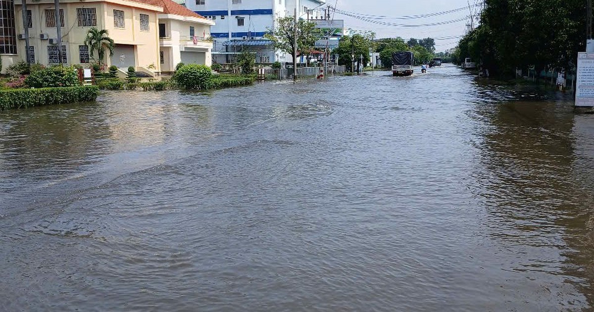 Khu công nghiệp ở Tây Ninh "cầu cứu" vì bị ngập gần 1 tuần