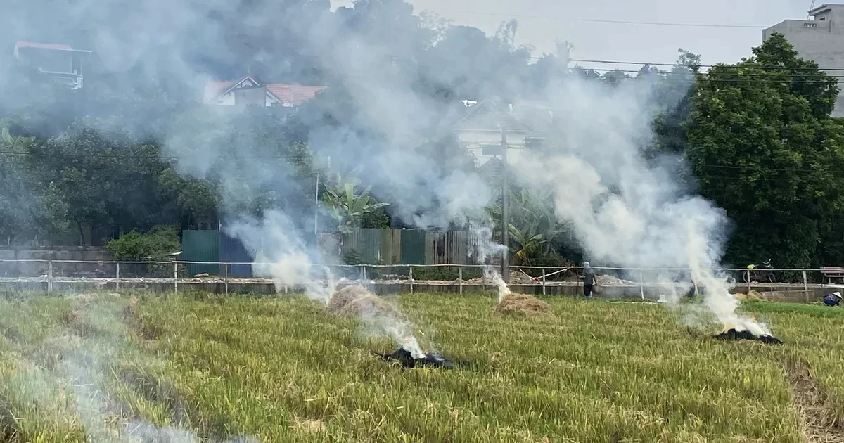 Hà Nội vào mùa gặt, nỗi lo ô nhiễm không khí do...