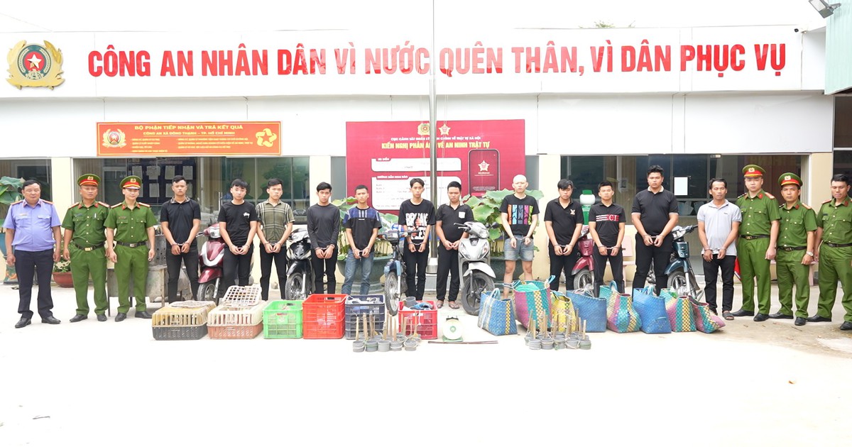 TP.HCM: Khởi tố 12 người trong đường dây trộm khoảng 2.700 con mèo