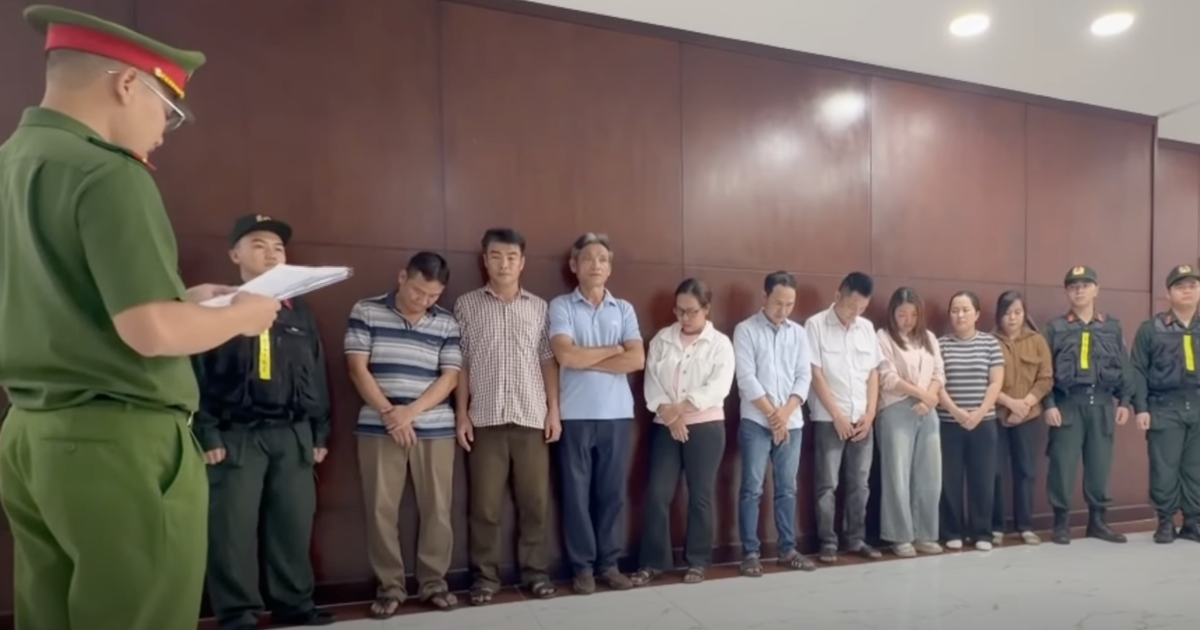 Hơn 10.000 tấn heo được “tạo nạc” bằng chất cấm rồi bán ra thị trường, 9 người bị khởi tố