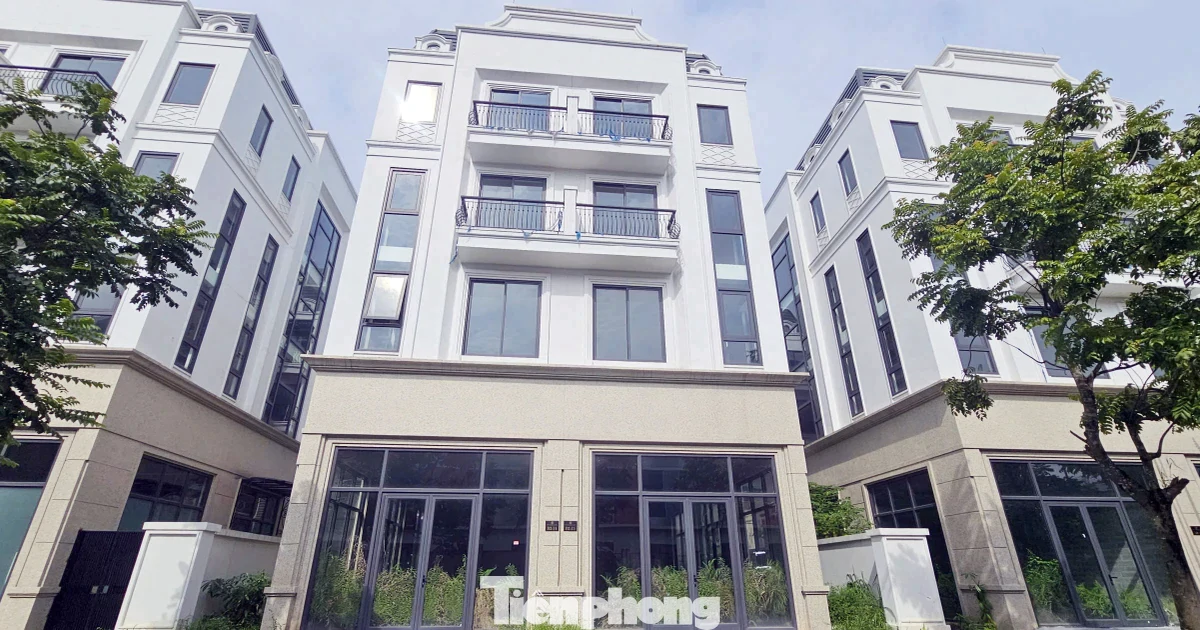 Đất bỏ hoang có thể chịu thuế 0,2%: Thí điểm trước khi áp dụng rộng rãi