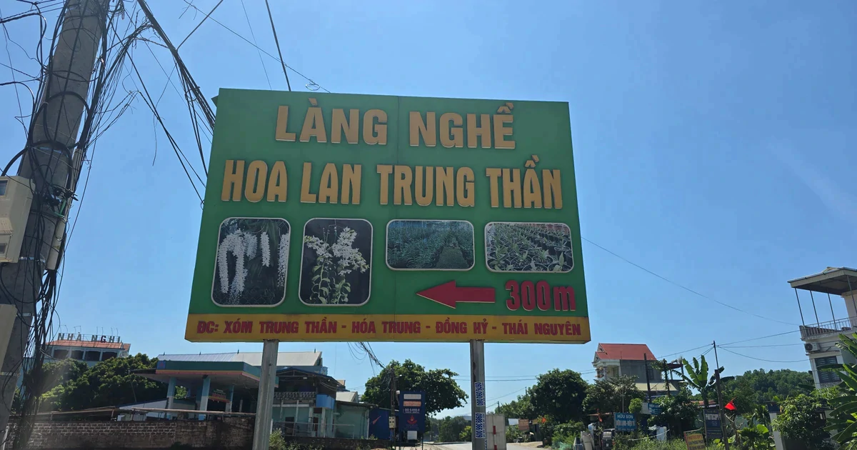 Lan đột biến từng giao dịch 1 tỷ đồng/cm nay chỉ mang treo bờ rào
