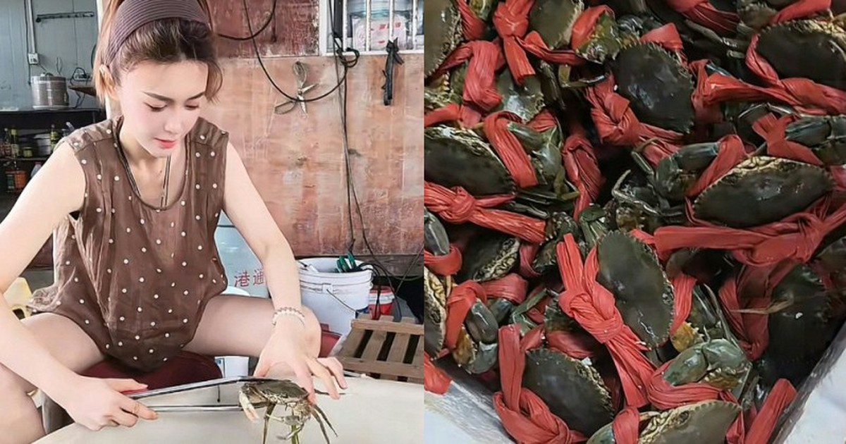 Nữ tiếp viên hàng không bỏ nghề sau 12 năm, về quê bán cua, có ngày kiếm gần 400 triệu đồng