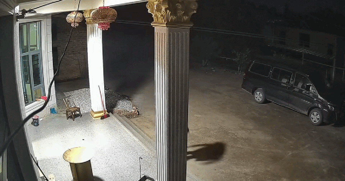 Khoảnh khắc em bé hơn 1 tuổi đi chưa vững vẫn cố đỡ ông bị ngã khiến 18 triệu người xúc động