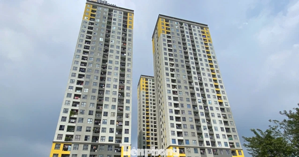 Nhà thương mại giá phù hợp khống chế lợi nhuận tối đa 15%