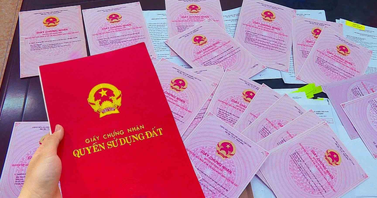 Phát mại đất thế chấp ngân hàng để thu nợ 8 tỷ, chủ nợ ngỡ ngàng vì xuất hiện ngôi nhà không ai hay biết