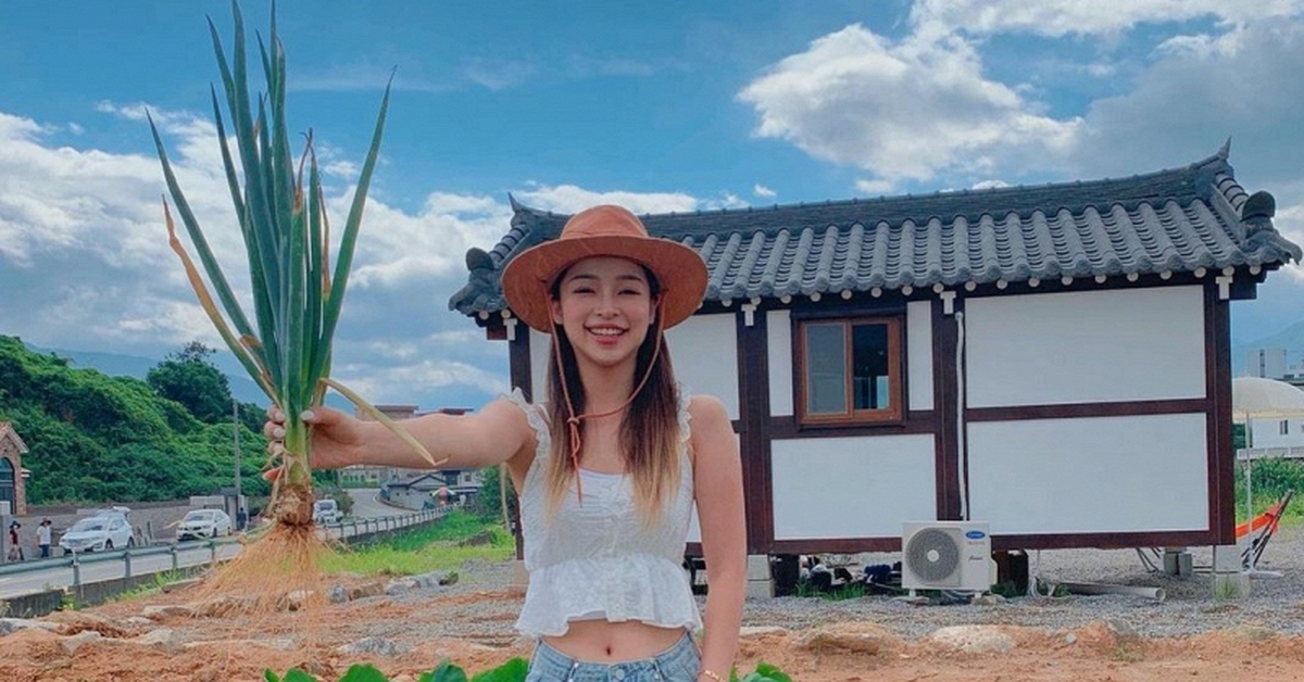 Thứ rau chợ Việt bán vài nghìn cả nắm, nấu món gì cũng thơm nhưng là "khắc tinh" của nhiều loại ung thư, "quét đường" trong máu