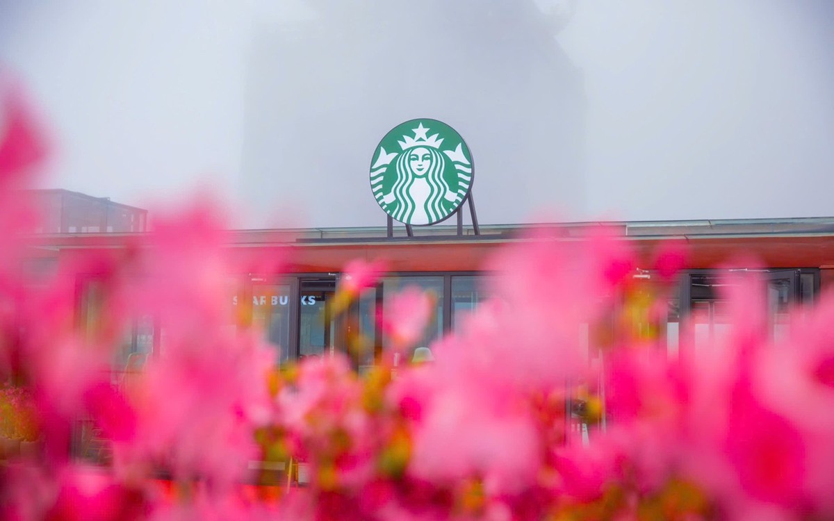 Starbucks Vietnam khai trương Starbucks Fansipan – cửa hàng Starbucks cao nhất Châu Á