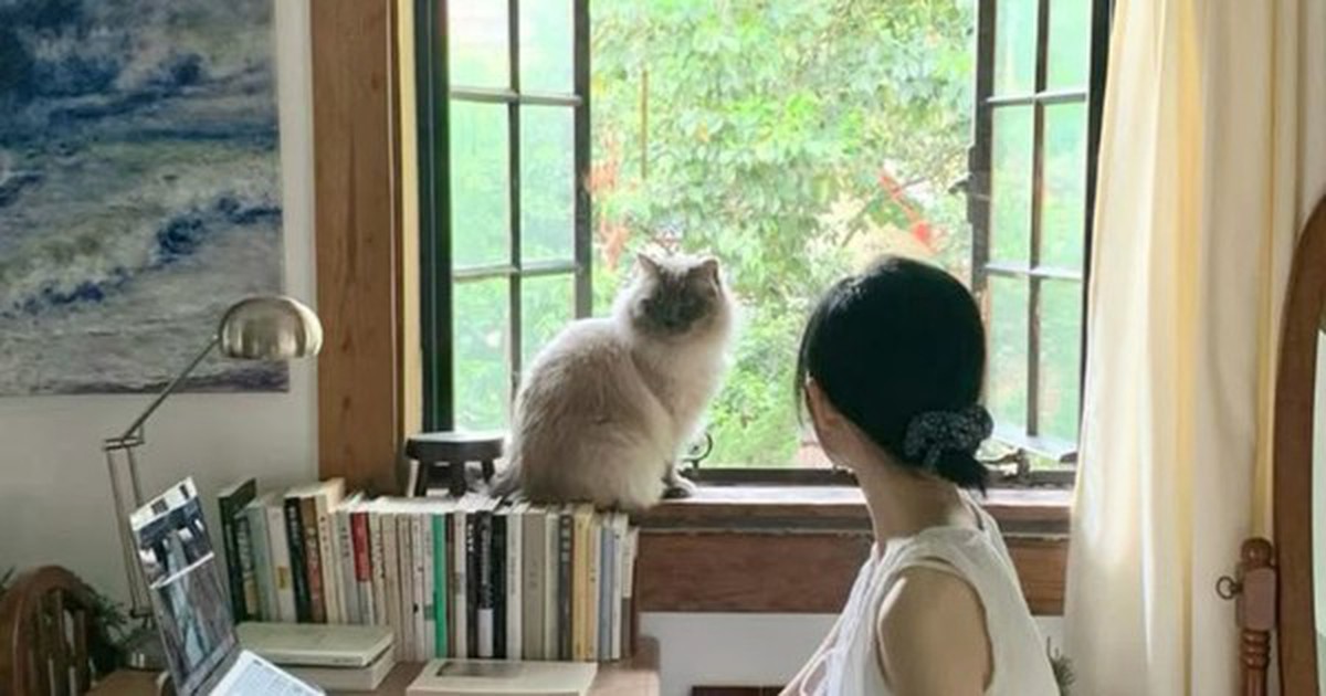 Vì sao ngày càng nhiều người chọn sống ở tầng hai? Sau khi ở thử, nhiều người thừa nhận: “Quyết định đáng giá nhất”