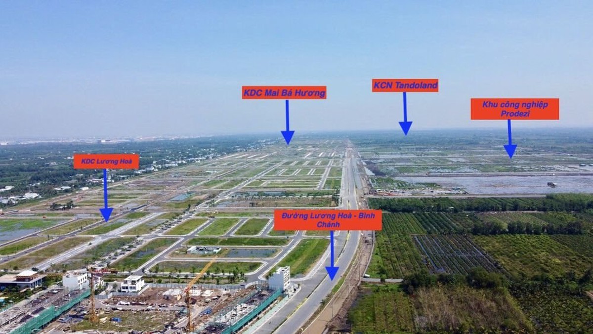 Doanh nghiệp địa ốc của CEO Nguyễn Thái Bình lỗ...