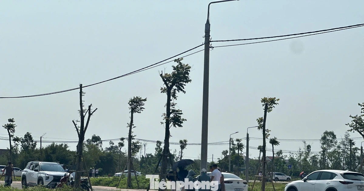 Đất nông thôn vùng quê bất ngờ "sốt", ô tô đổ về kín đường