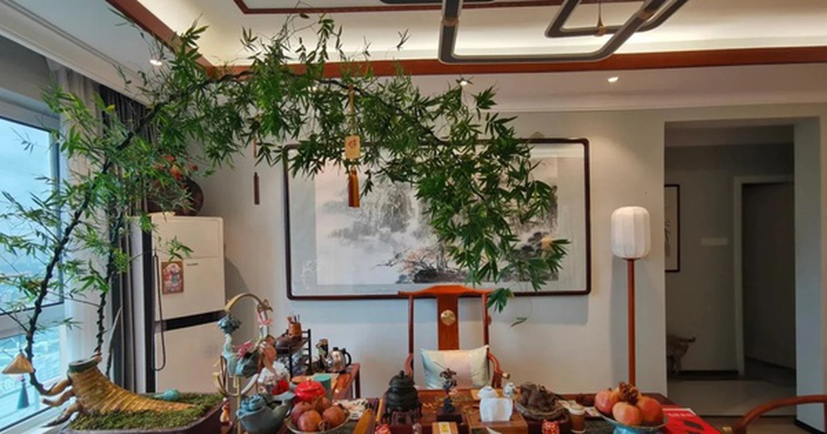 Ông bà dặn kỹ: 6 vị trí trong nhà tuyệt đối không nên đặt cây cảnh, sai một ly gia đình dễ lục đục