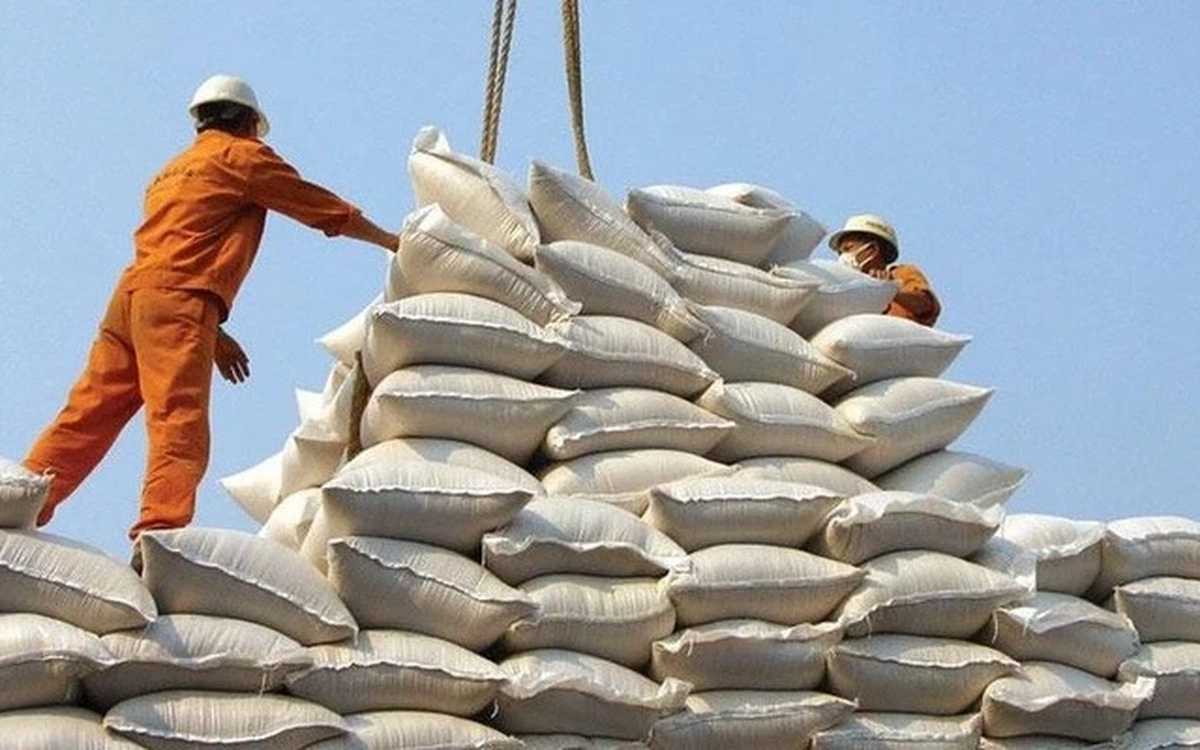 Vì sao xuất khẩu gạo giảm mạnh?