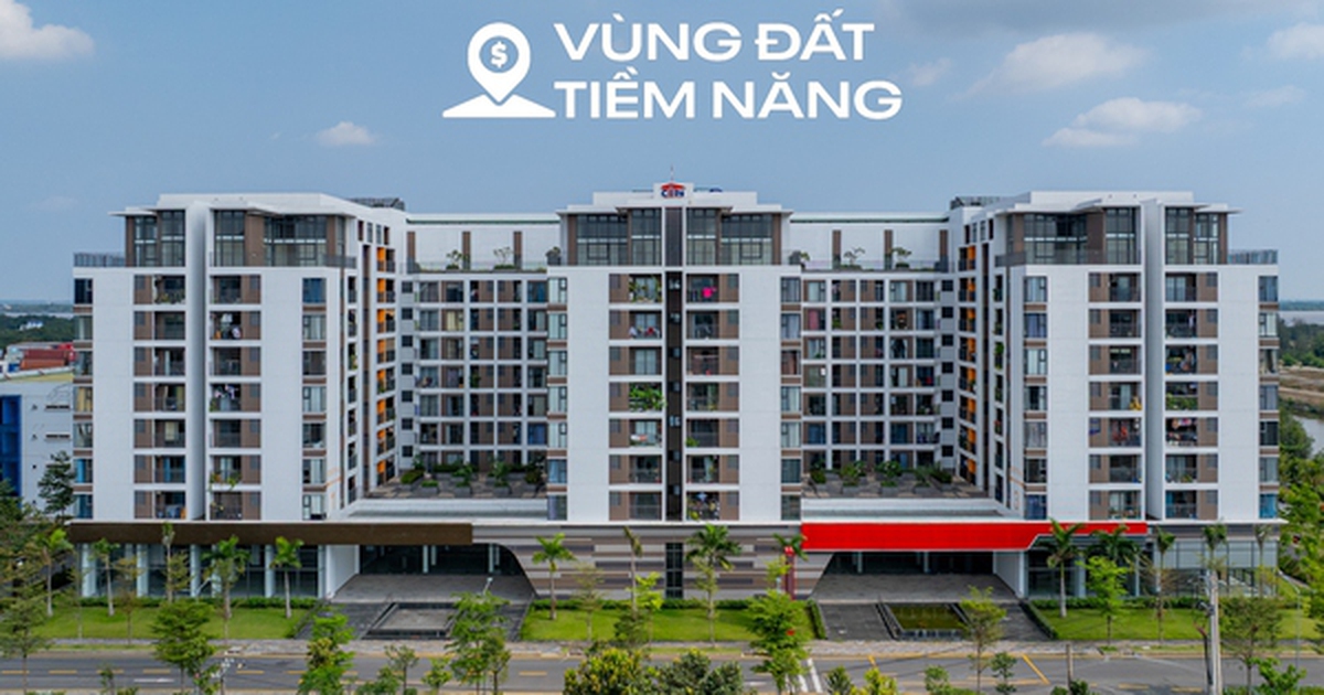 5 phút đi thăm 3 dự án nhà ở xã hội "hot" bậc nhất TP.HCM: Nơi có tiện ích như resort, nơi tỷ lệ chọi cao hơn thi đại học