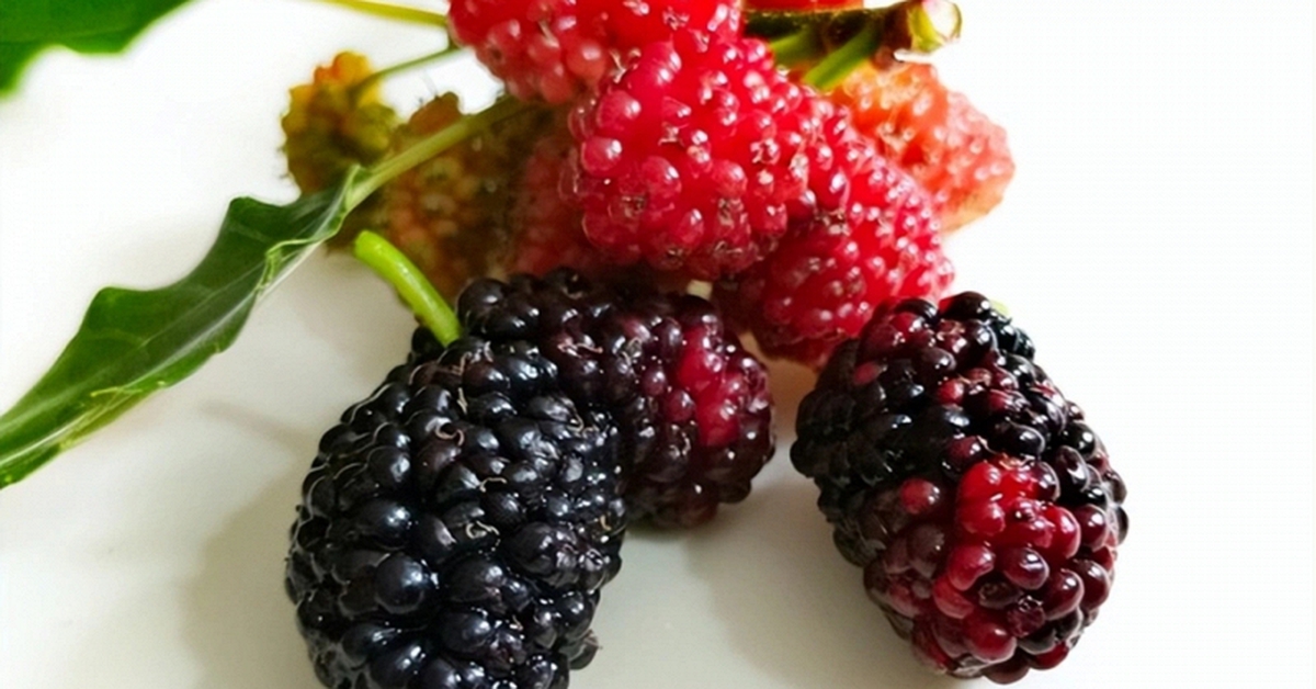 4 loại trái cây người Việt ăn hàng ngày giúp bồi bổ máu nuôi dưỡng gan, chợ bán giá rất rẻ