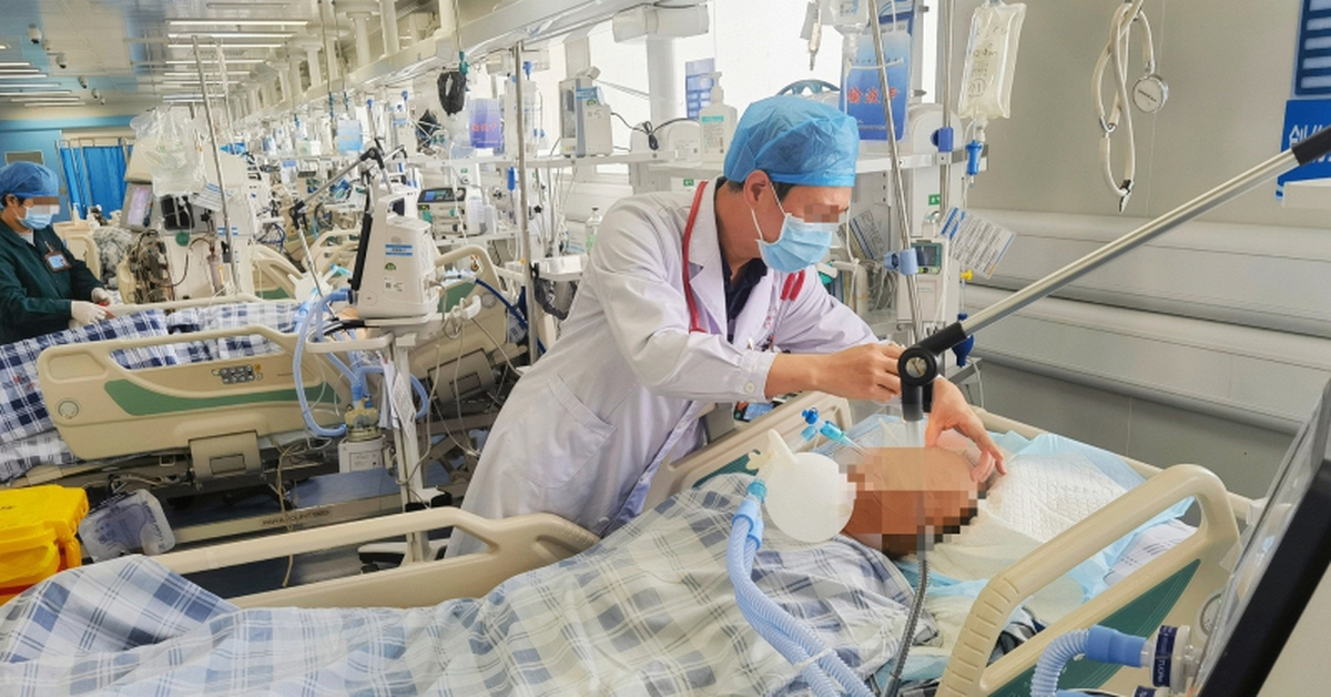 Người đàn ông ngộ độc suýt tử vong vì món rau nhiều người thích, có thể xuất hiện trên mâm cơm Việt 3 bữa một ngày