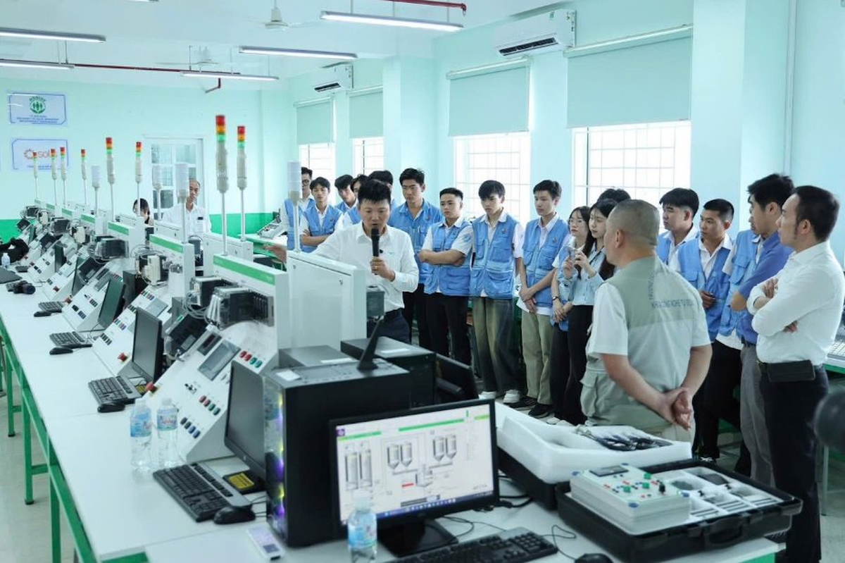 Thiếu 200.000 nhân lực năng lượng tái tạo: "Nút thắt" mới của quá trình chuyển dịch năng lượng tại Việt Nam