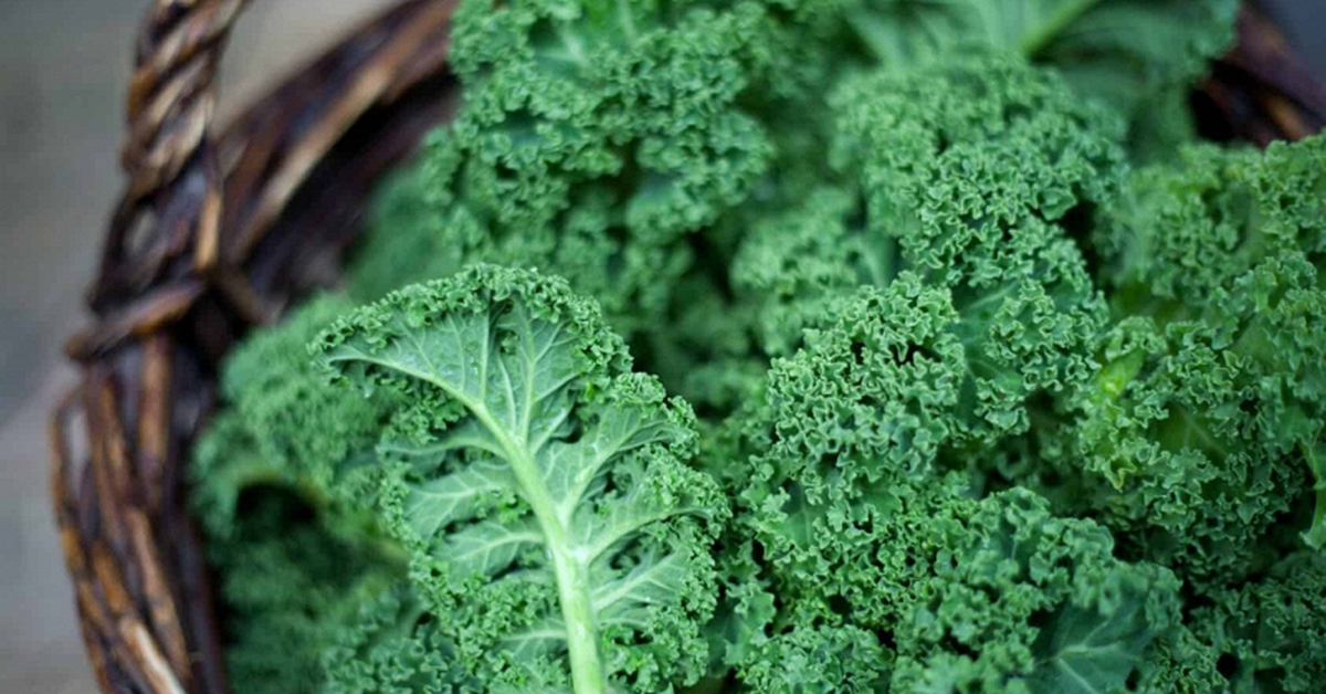 Mỹ công bố top 12 loại rau quả "ngậm" nhiều thuốc trừ sâu nhất 2026, bất ngờ với thứ ở vị trí đầu tiên