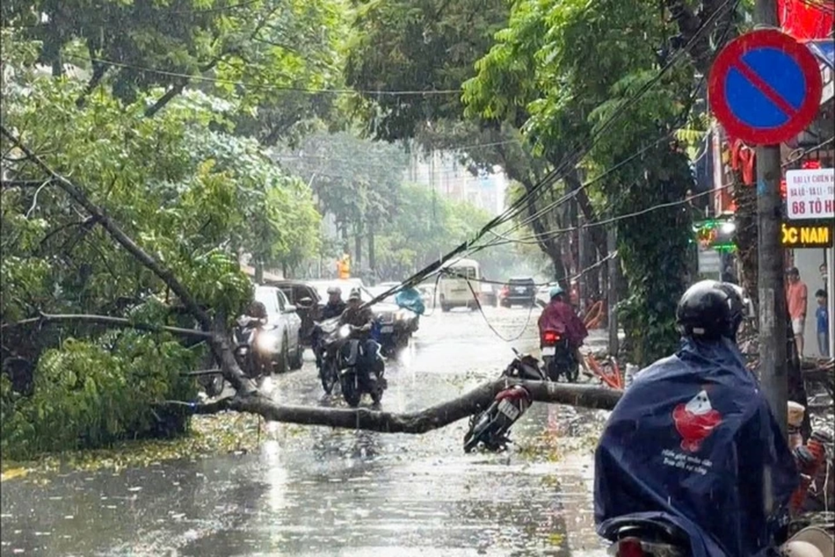 Mưa dông làm 4 người chết, 9 người bị thương