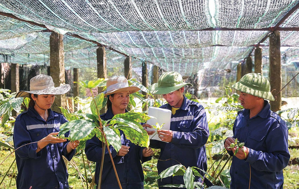 Kho báu vô tận tại Việt Nam đang khiến thế giới "thèm khát", giúp hàng triệu người dân đều có thể trở nên giàu có