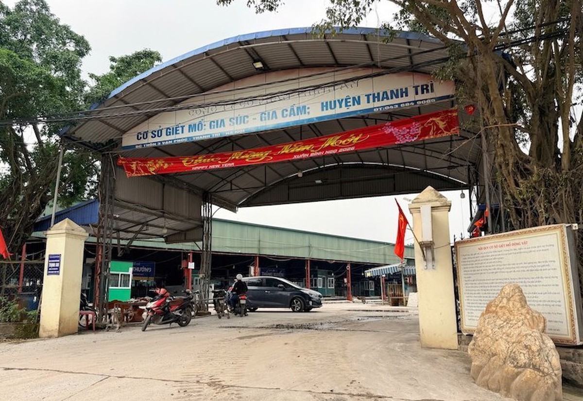 Vụ 300 tấn lợn bệnh tuồn vào bếp ăn trường học: Cán bộ kiểm dịch "ra giá" thế nào?