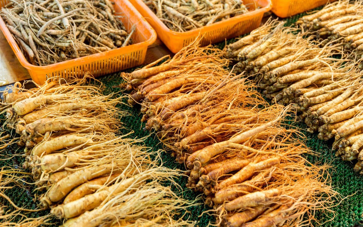 Củ sâm to chưa chắc đã quý: nhiều người đang hiểu sai giá trị thật của nhân sâm