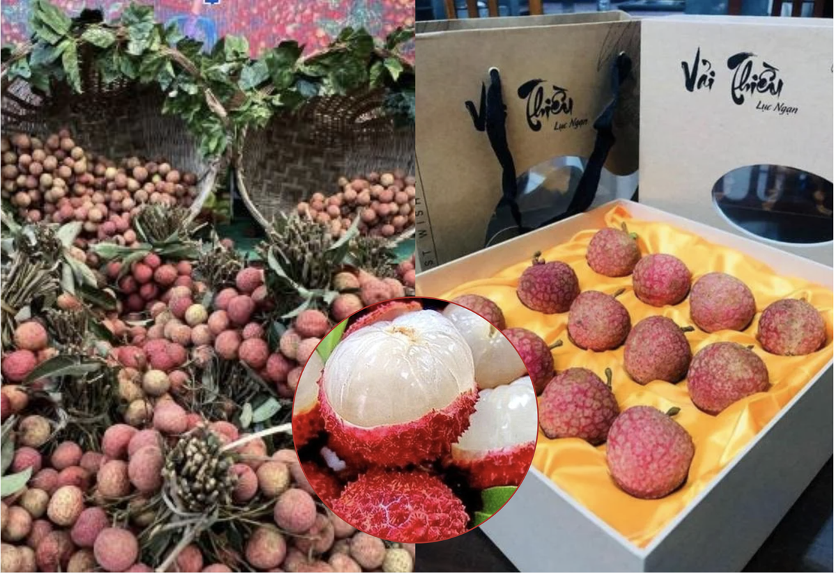 Loại quả ở Việt Nam bán rẻ như cho bỗng thành hàng hiệu xuất ngoại, chạm mốc 450.000 đồng/ ký vẫn được khách quốc tế vẫn ráo riết săn lùng