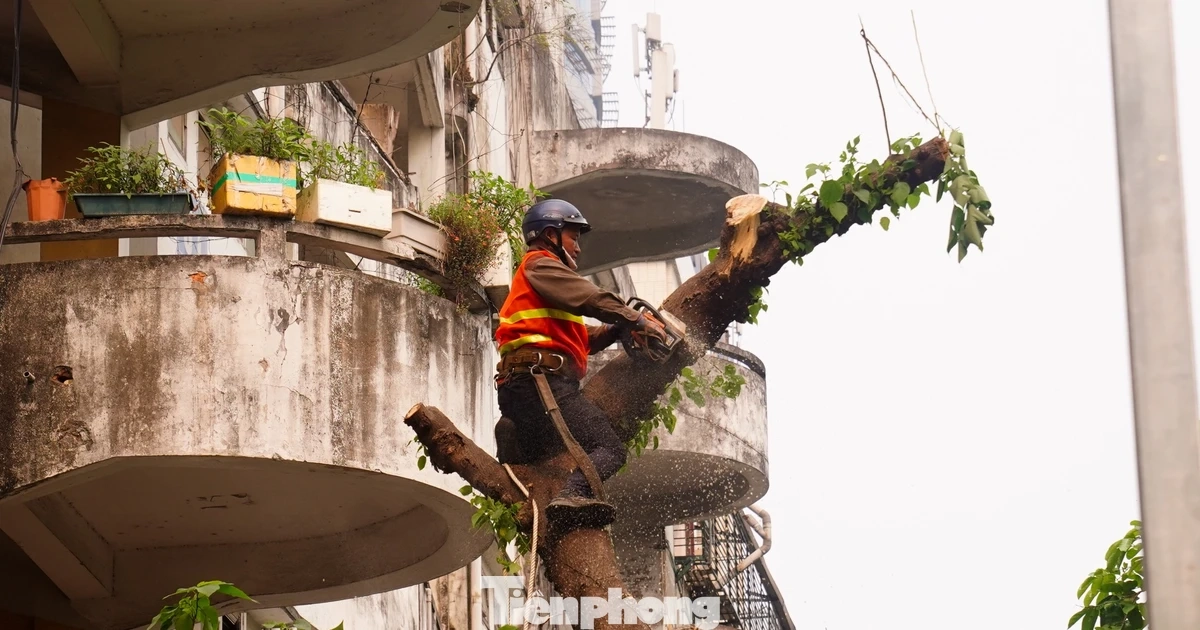 Hà Nội phá dỡ chung cư 51 Huỳnh Thúc Kháng sau 35 năm