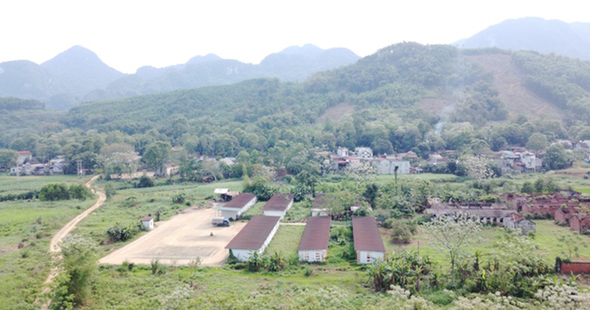 Thanh Hóa: Dự án nghìn tỷ xi măng Thanh Sơn vẫn "sa lầy" sau 16 năm